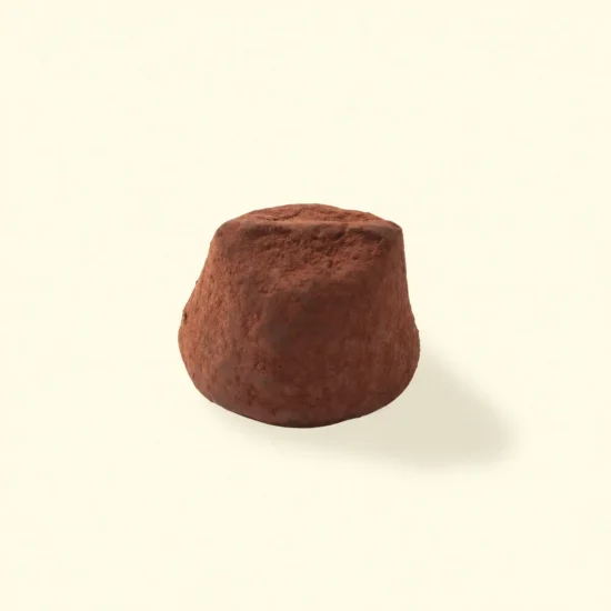 Cocoa Powdered Truffles Pieces
