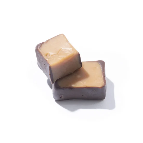 Chocolate-Dipped Fudge Pieces