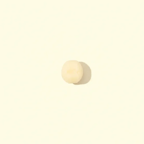 Kasugai Queens Milk Pieces